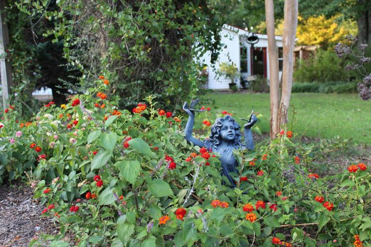 Meadow View Farm Bed & Breakfast Hernando Exterior foto