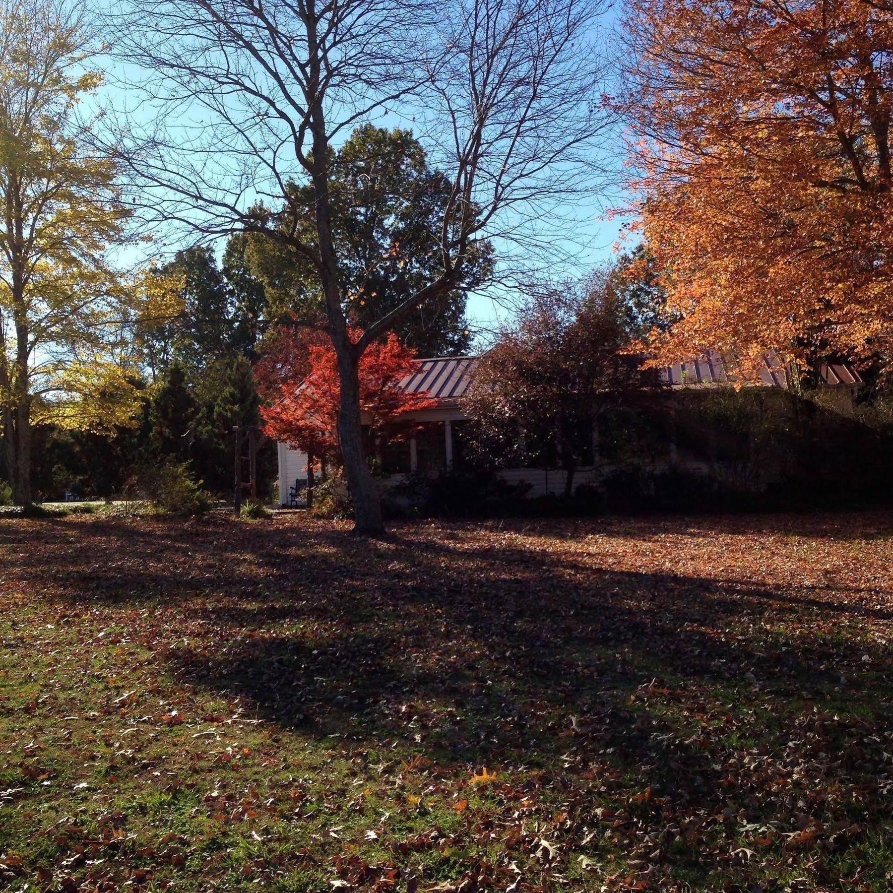 Meadow View Farm Bed & Breakfast Hernando Exterior foto