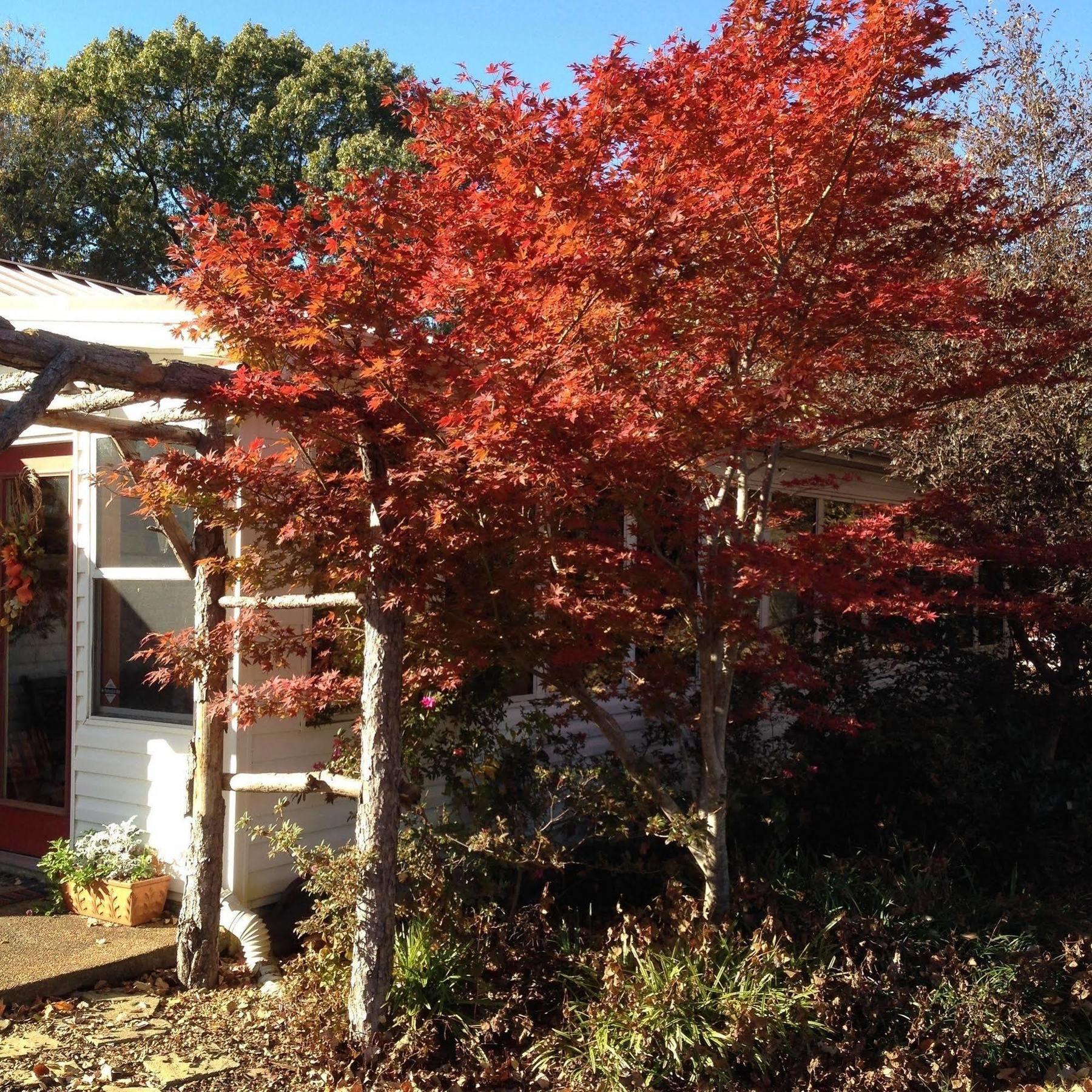 Meadow View Farm Bed & Breakfast Hernando Exterior foto