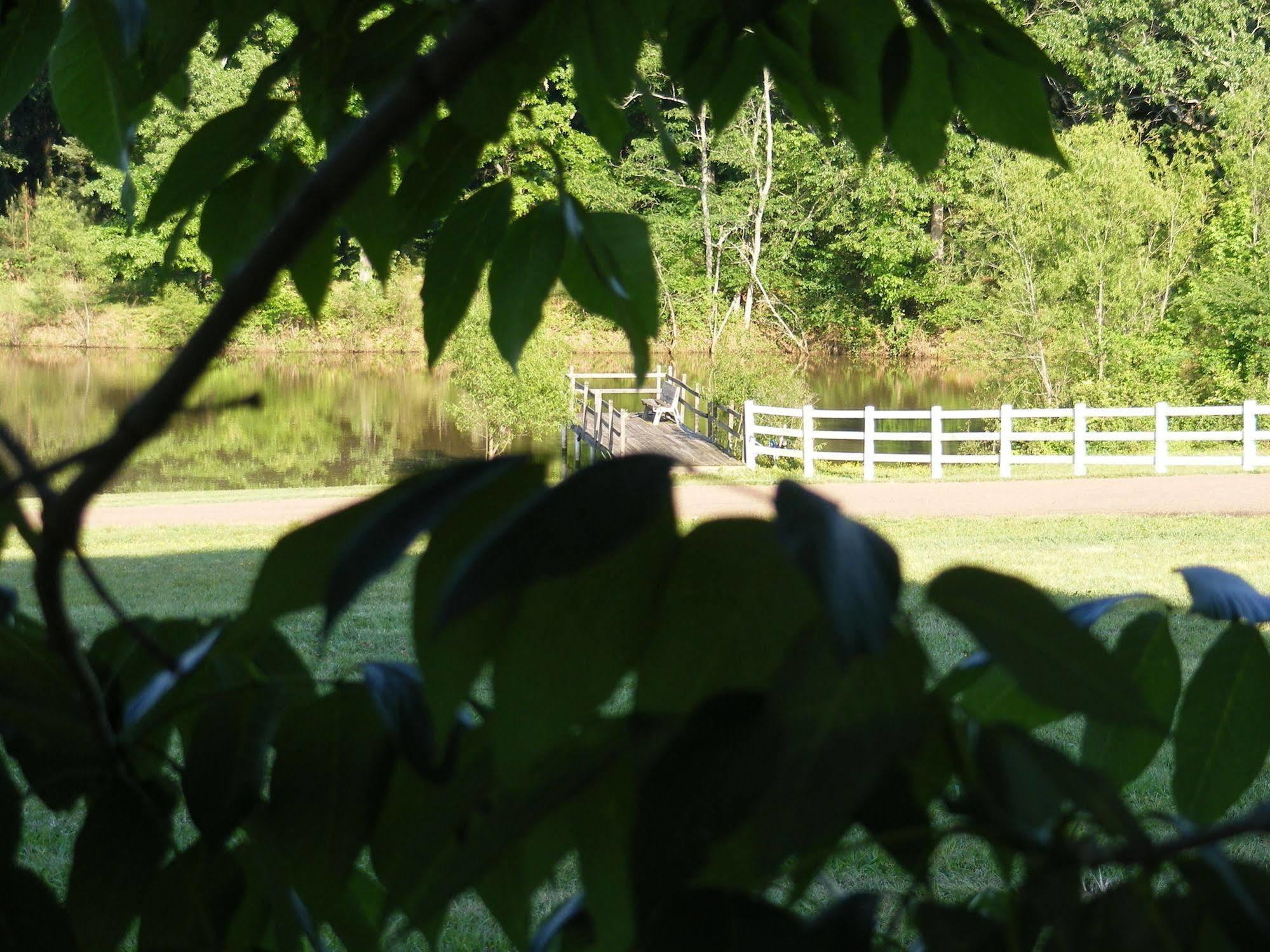 Meadow View Farm Bed & Breakfast Hernando Exterior foto