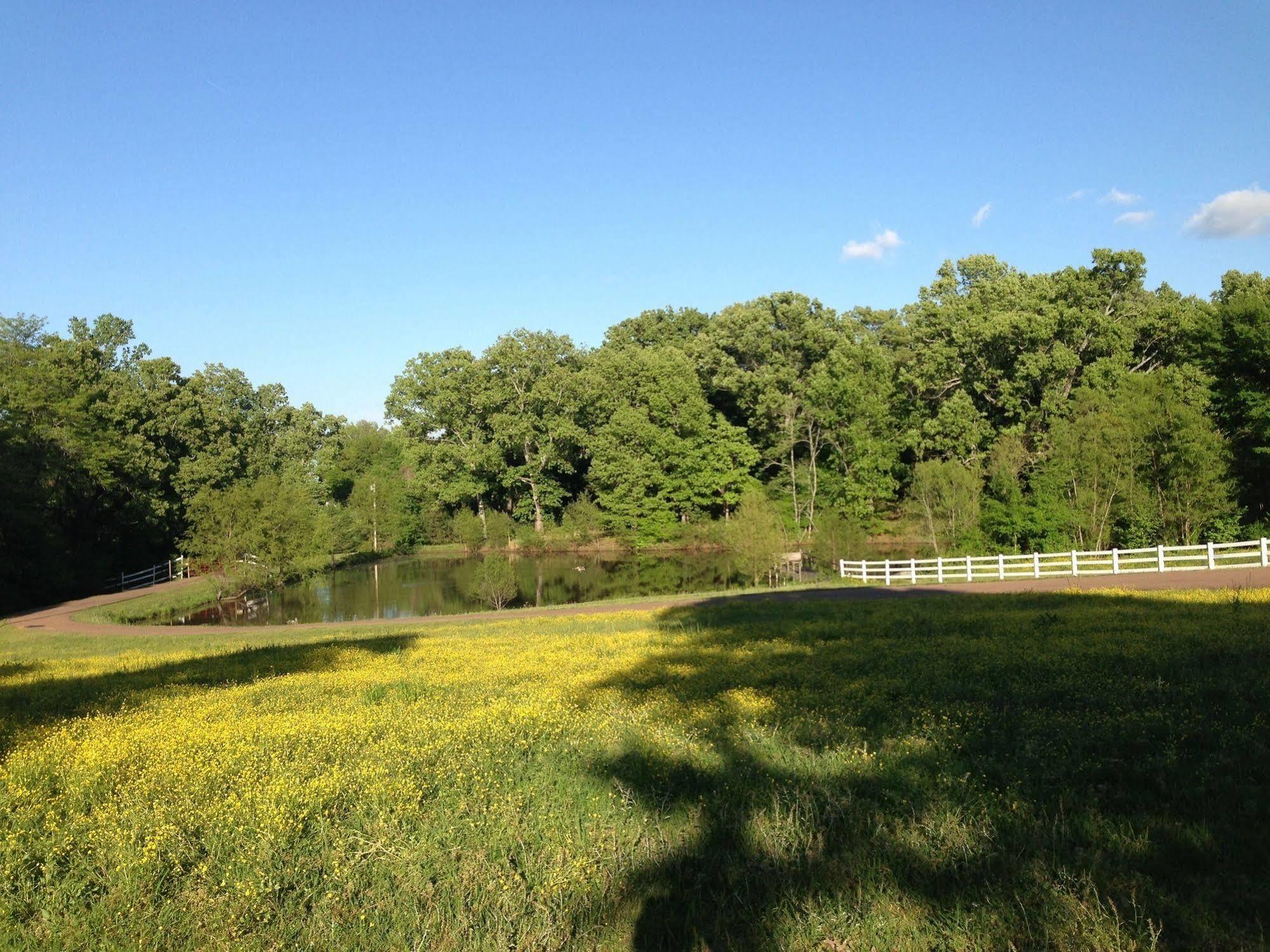 Meadow View Farm Bed & Breakfast Hernando Exterior foto