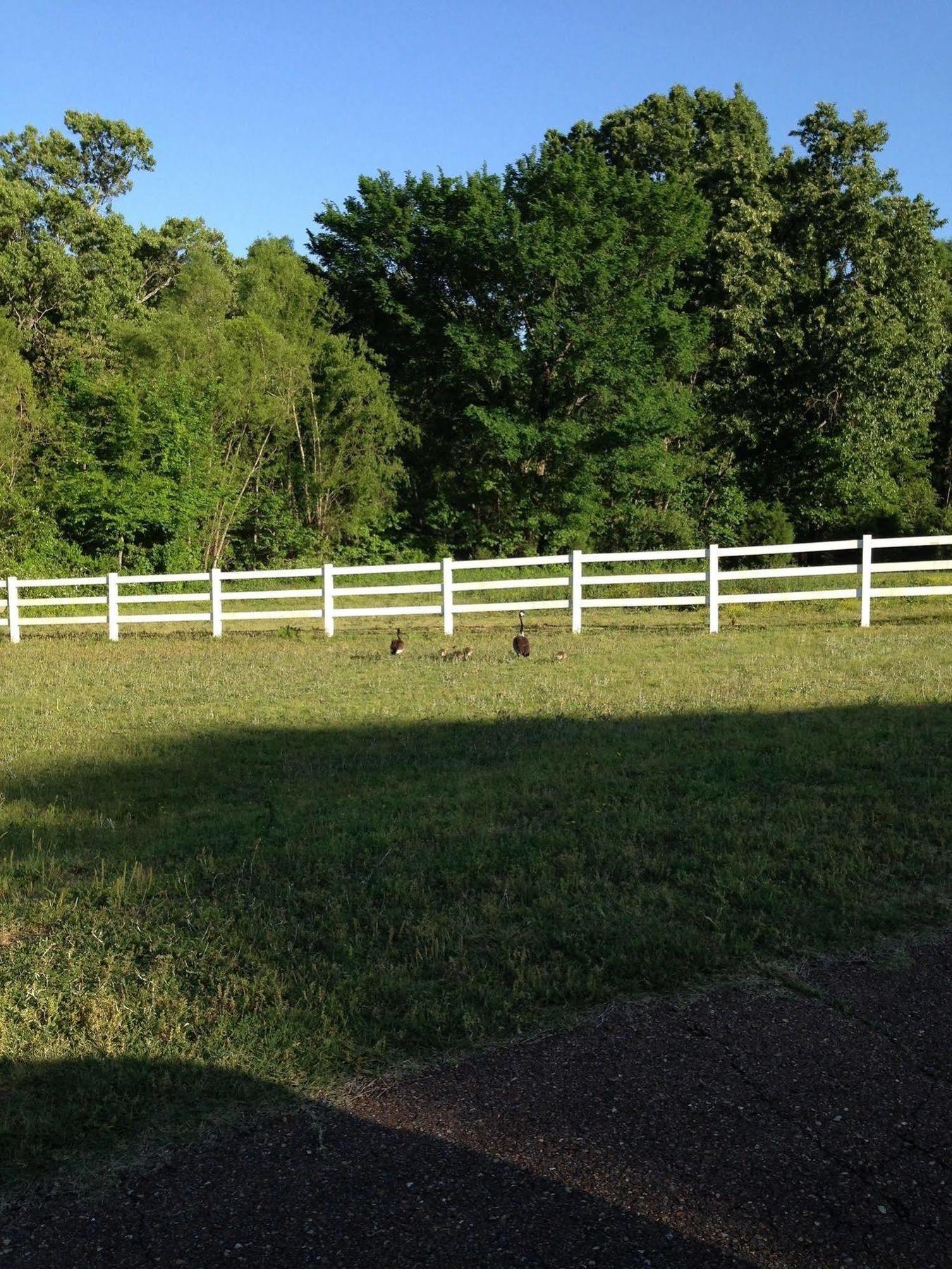 Meadow View Farm Bed & Breakfast Hernando Exterior foto